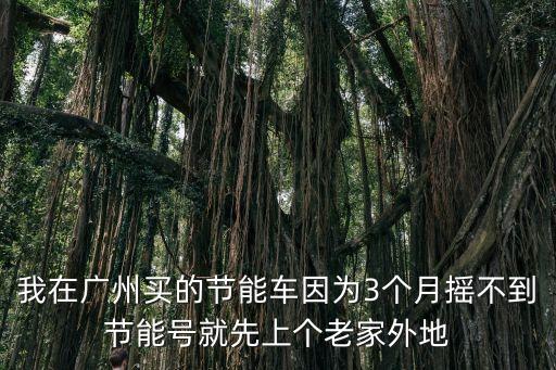 廣州節能牌車主還能搖號嗎，廣州中了節能車牌號還可申請普通車牌嗎