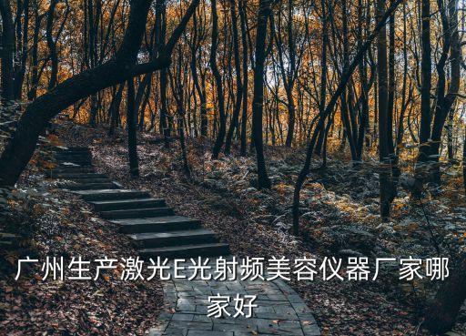 廣州生產激光E光射頻美容儀器廠家哪家好