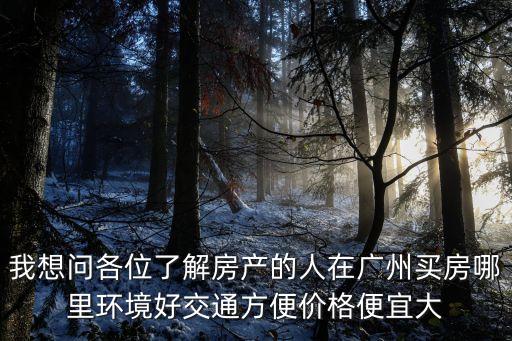 我想問各位了解房產的人在廣州買房哪里環境好交通方便價格便宜大