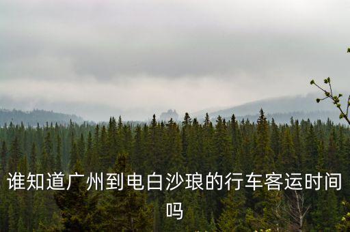 廣州長途汽車站到電白沙瑯，廣州那個汽車站有到電白沙瑯的