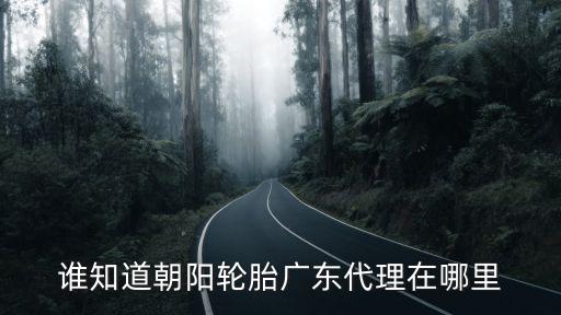 廣州哪里有朝陽輪胎代理商，朝陽胎在哪里銷售