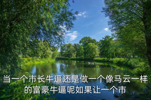 上海市委書(shū)記VS馬云，當(dāng)一個(gè)市長(zhǎng)牛逼還是做一個(gè)像馬云一樣的富豪牛逼呢如果讓一個(gè)市