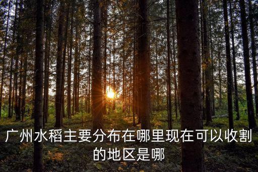 廣州水稻主要分布在哪里現在可以收割的地區是哪
