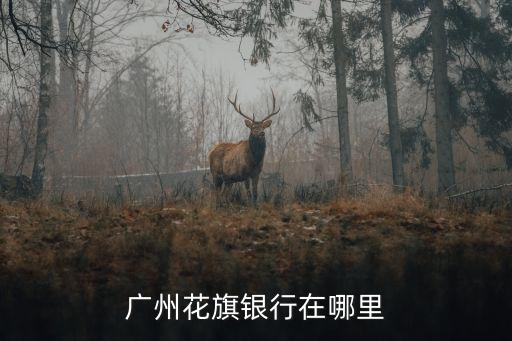 廣州花旗集團北美區，花旗集團美國總部地址是什么