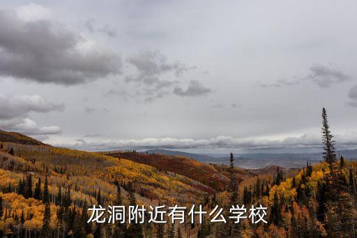 龍洞附近有什么學校