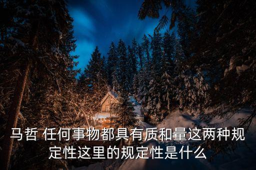 規定性，馬哲 任何事物都具有質和量這兩種規定性這里的規定性是什么