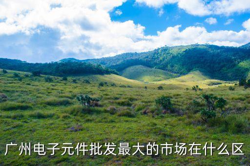 廣州電子元件批發(fā)最大的市場(chǎng)在什么區(qū)