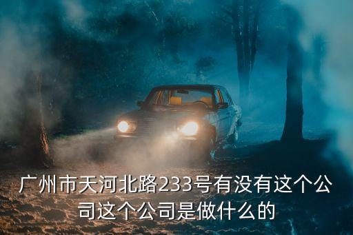 廣州市天河北路233號有沒有這個公司這個公司是做什么的