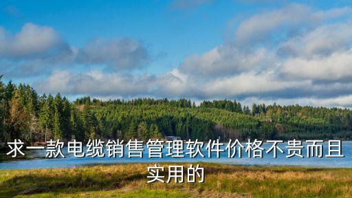 廣州線纜行業管理系統，求一款電纜銷售管理軟件價格不貴而且實用的