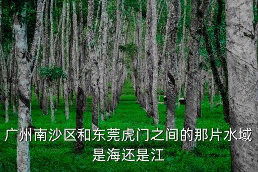 廣州南沙區和東莞虎門之間的那片水域是海還是江