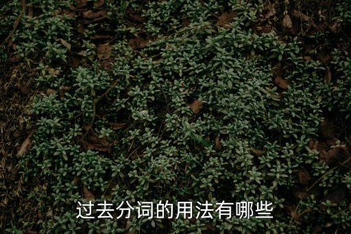 過去分詞的用法有哪些