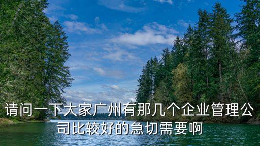 請問一下大家廣州有那幾個企業(yè)管理公司比較好的急切需要啊