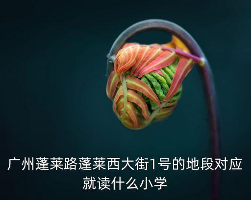 廣州蓬萊路蓬萊西大街1號的地段對應就讀什么小學