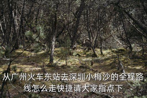 從廣州火車東站去深圳小梅沙的全程路線怎么走快捷請大家指點下