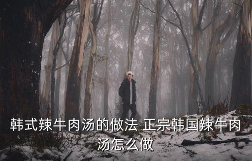韓式辣牛肉湯的做法 正宗韓國辣牛肉湯怎么做
