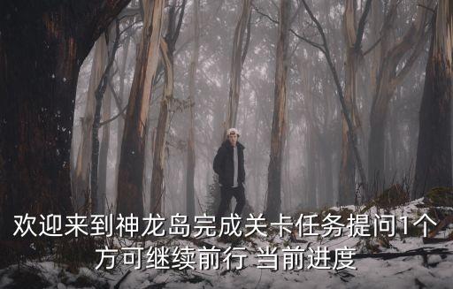 歡迎來到神龍島完成關卡任務提問1個方可繼續前行 當前進度
