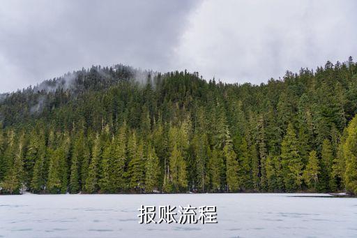 財務報賬流程，報賬流程