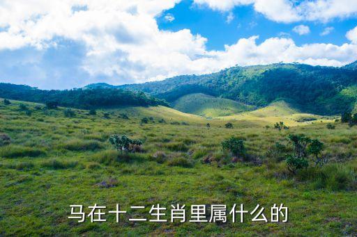 馬屬相，馬在十二生肖里屬什么的