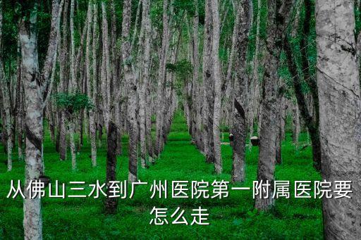 從佛山三水到廣州醫(yī)院第一附屬醫(yī)院要怎么走