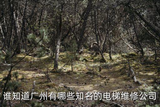 電梯維保公司排行廣州，廣州電梯維修保養(yǎng)公司哪家好