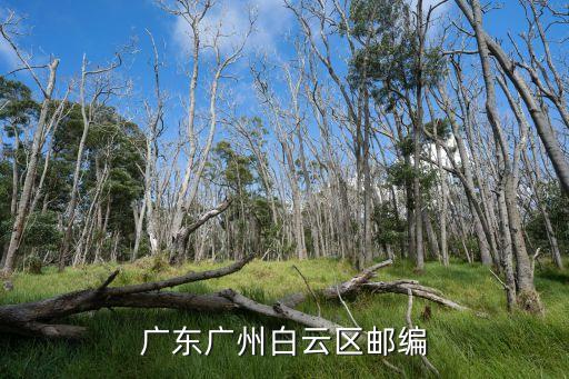 廣州白云區龍崗北路郵編，廣東廣州白云區郵編