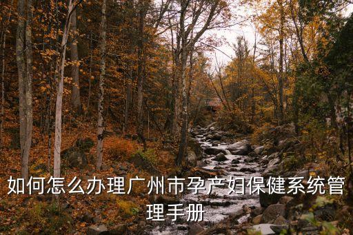 如何怎么辦理廣州市孕產(chǎn)婦保健系統(tǒng)管理手冊