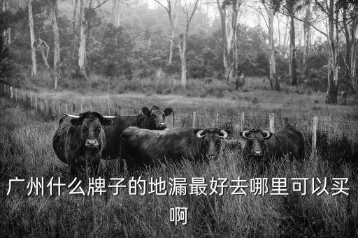 廣州生產地漏的廠家，廣州什么牌子的地漏最好去哪里可以買啊