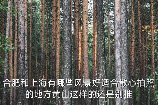 廣州天鵝湖夜景，合肥和上海有哪些風景好適合散心拍照的地方黃山這樣的還是別推
