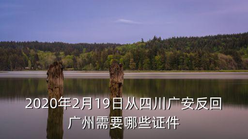 2020年2月19日從四川廣安反回廣州需要哪些證件