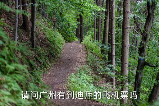 廣州到迪拜預(yù)訂，飛往迪拜的航空公司有幾家