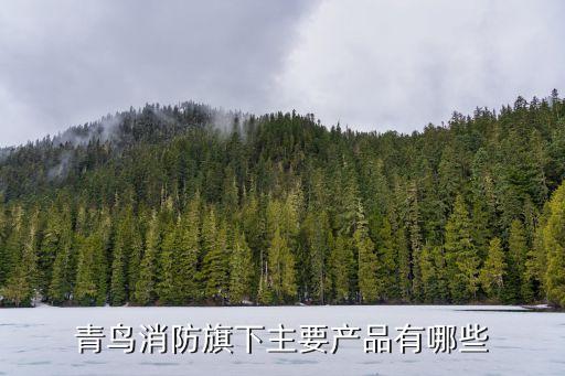 廣州北大青鳥消防有限公司，北大青鳥消防有限公司怎么樣