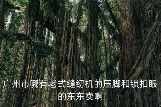 廣州市哪有老式縫紉機的壓腳和鎖扣眼的東東賣啊