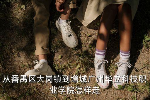 番禺到廣州華立學院，番禺廣場怎樣坐車到廣東省華立技師學院