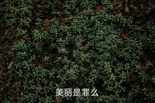 美麗有罪，美麗有罪是誰唱的
