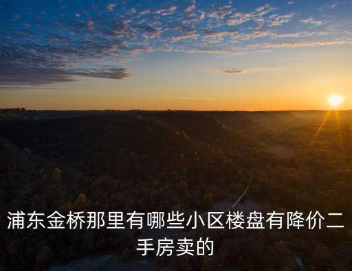 上海市高行二手房，上海楊高北路高行的房價是多少