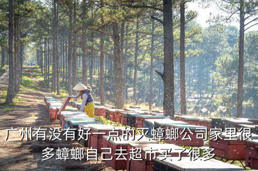 廣州有沒有好一點的滅蟑螂公司家里很多蟑螂自己去超市買了很多