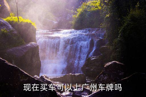 買奧德賽可以上廣州牌嗎，我想在廣州買車可以上廣州牌嗎
