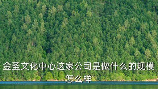 金圣文化中心這家公司是做什么的規(guī)模怎么樣
