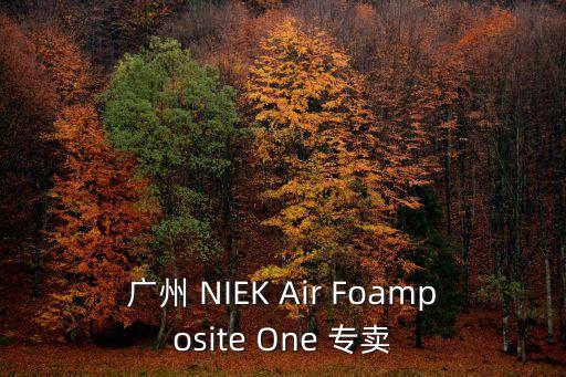 廣州 NIEK Air Foamposite One 專賣