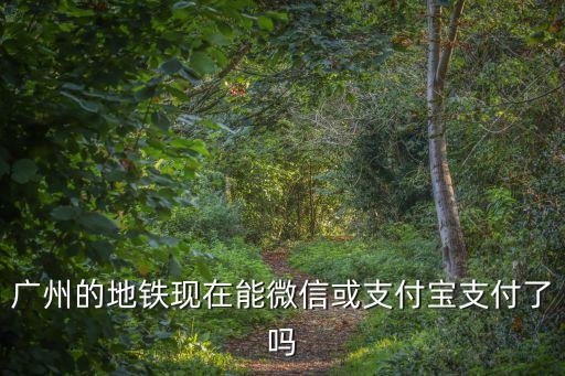 廣州的地鐵現(xiàn)在能微信或支付寶支付了嗎