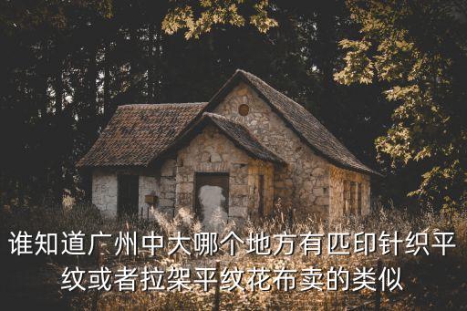 誰知道廣州中大哪個地方有匹印針織平紋或者拉架平紋花布賣的類似