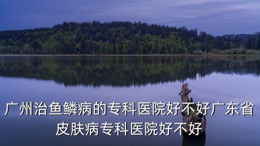 廣州德信醫藥，電臺說的廣州德信男科是真的嗎