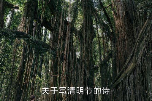 描寫(xiě)清明節(jié)的詩(shī)句，關(guān)于寫(xiě)清明節(jié)的詩(shī)