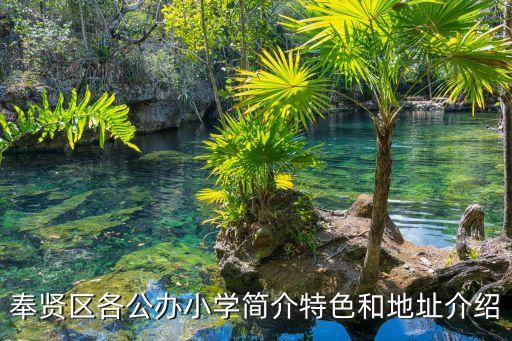 上海市奉賢區(qū)遠(yuǎn)航小學(xué)，奉賢區(qū)各公辦小學(xué)簡介特色和地址介紹