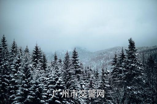 廣州市交警網(wǎng)