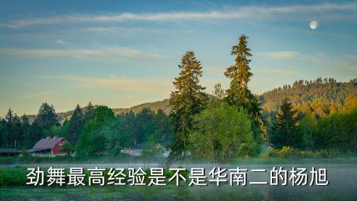 廣州第二師范學院楊旭，楊旭是干啥的