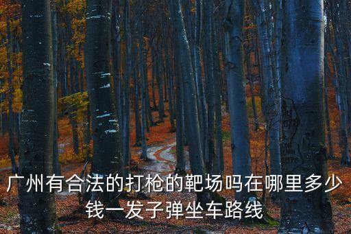 廣州內網靶場要怎么學，廣州有合法的打槍的靶場嗎在哪里多少錢一發子彈坐車路線