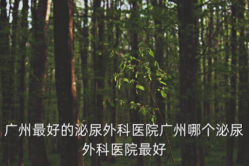 廣州最好的泌尿外科醫院廣州哪個泌尿外科醫院最好