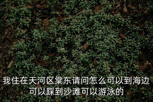 我住在天河區(qū)棠東請問怎么可以到海邊可以踩到沙灘可以游泳的