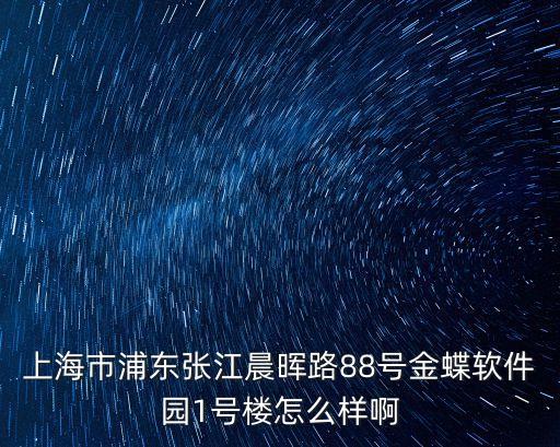 上海市浦東張江晨暉路88號(hào)金蝶軟件園1號(hào)樓怎么樣啊